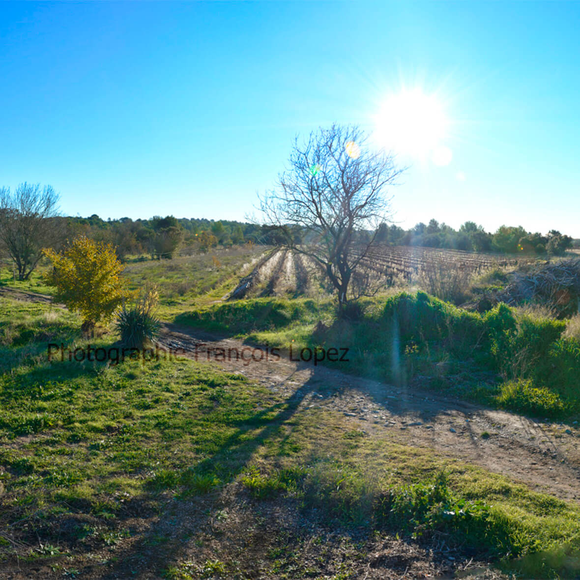 Photo of the Chemin d'Aubais in December 2021