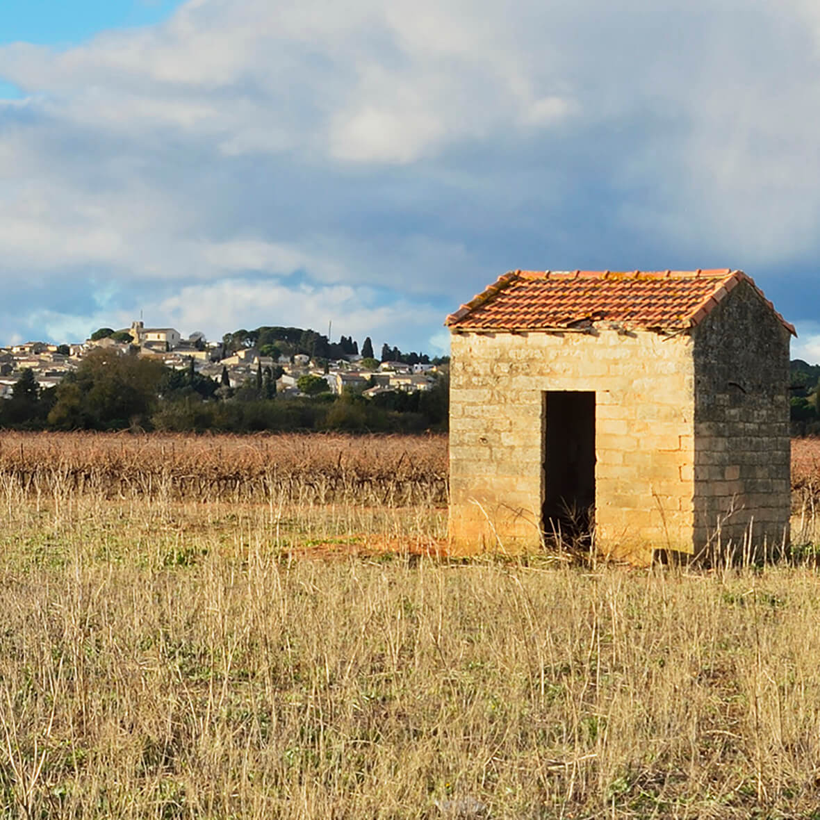 Small mazet with Gallargues in the background