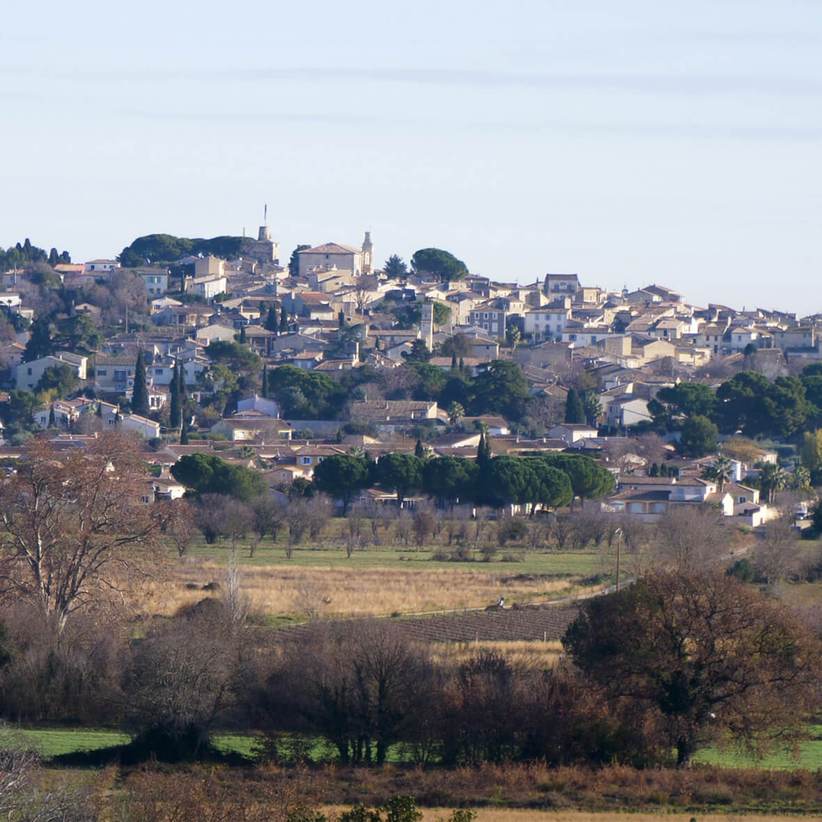 Gallargues-le-Montueux December 28, 2022 around 10:30 a.m.