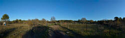 Chemin rural de liaison entre Gallargues-le-Montueux et les villages voisins: le chemin d'Aubais