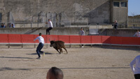 course dans les arènes par un bel après-midi de février 2022 à Gallargues-le-Montueux