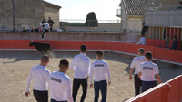 course dans les arènes par un bel après-midi de février 2022 à Gallargues-le-Montueux