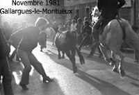 Rétrospective des fêtes traditionnelles de mai et novembre à Gallargues-le-Montueux