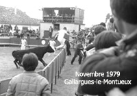 Rétrospective des fêtes traditionnelles de mai et novembre à Gallargues-le-Montueux