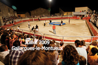 Rétrospective des fêtes traditionnelles de mai et novembre à Gallargues-le-Montueux