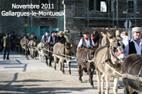 Rétrospective des fêtes traditionnelles de mai et novembre à Gallargues-le-Montueux