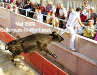 Rétrospective des fêtes traditionnelles de mai et novembre à Gallargues-le-Montueux