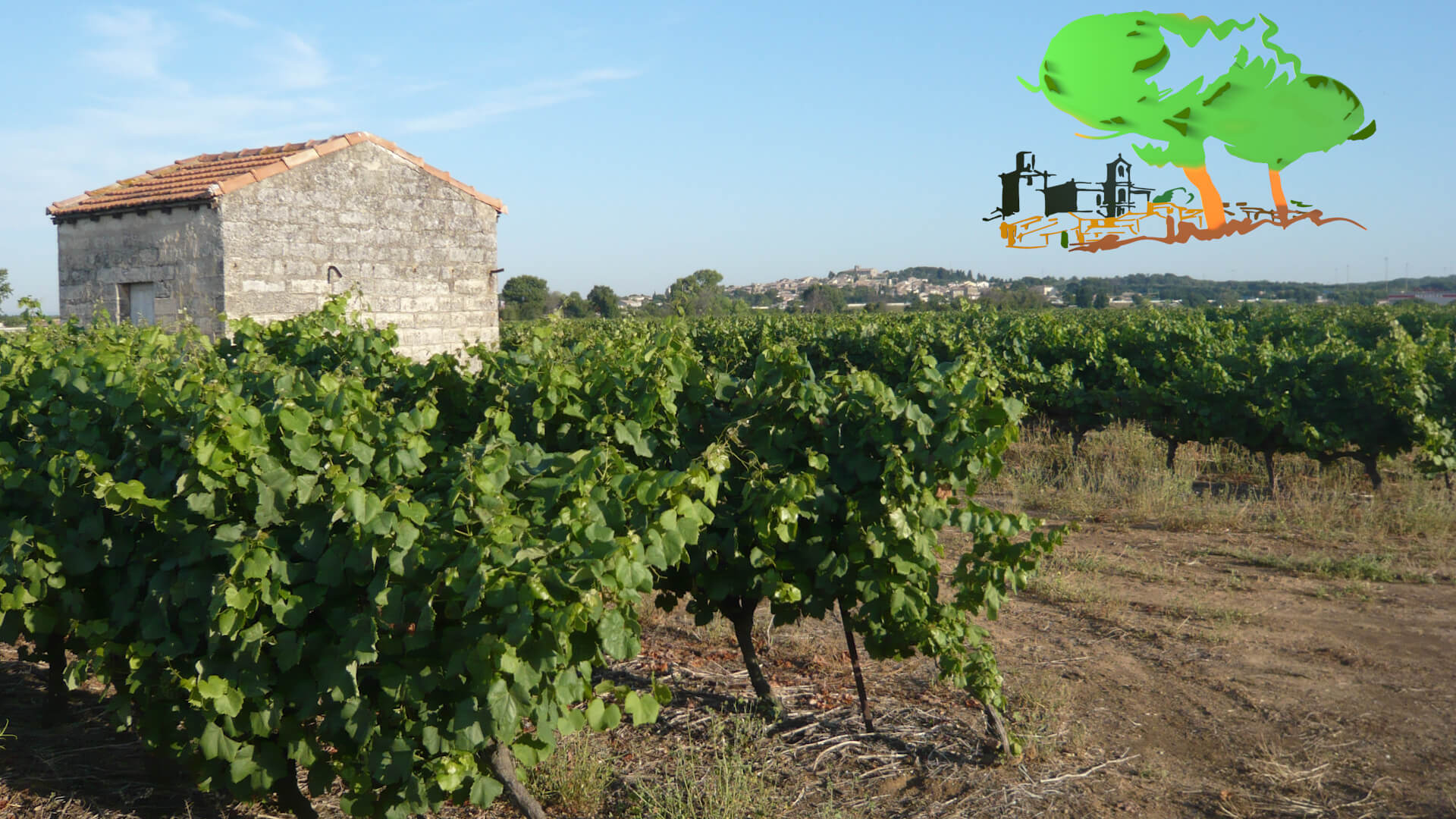 1-Une production plus qualitative