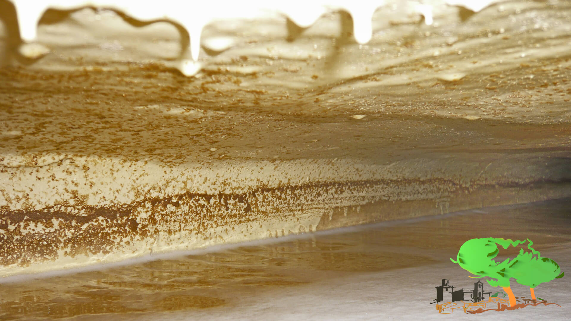 Fermentation des cuves de raisins blancs