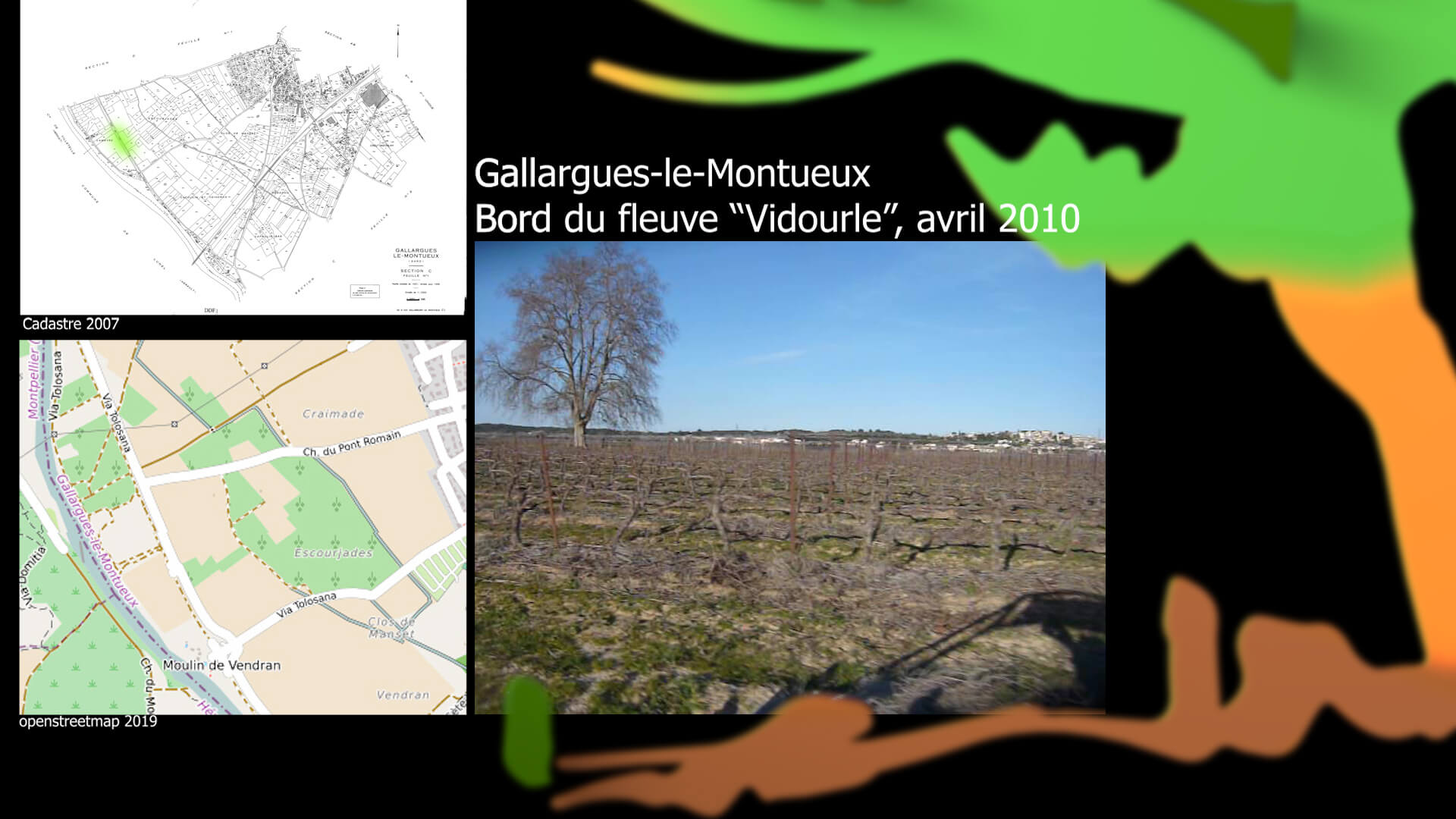 visite du vignoble bord du vidourle