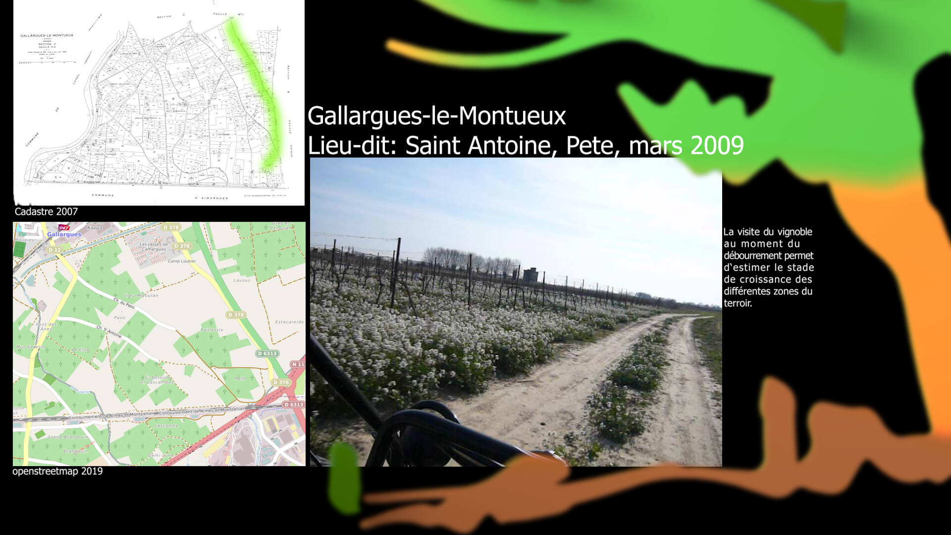 visite du vignoble Saint Antoine