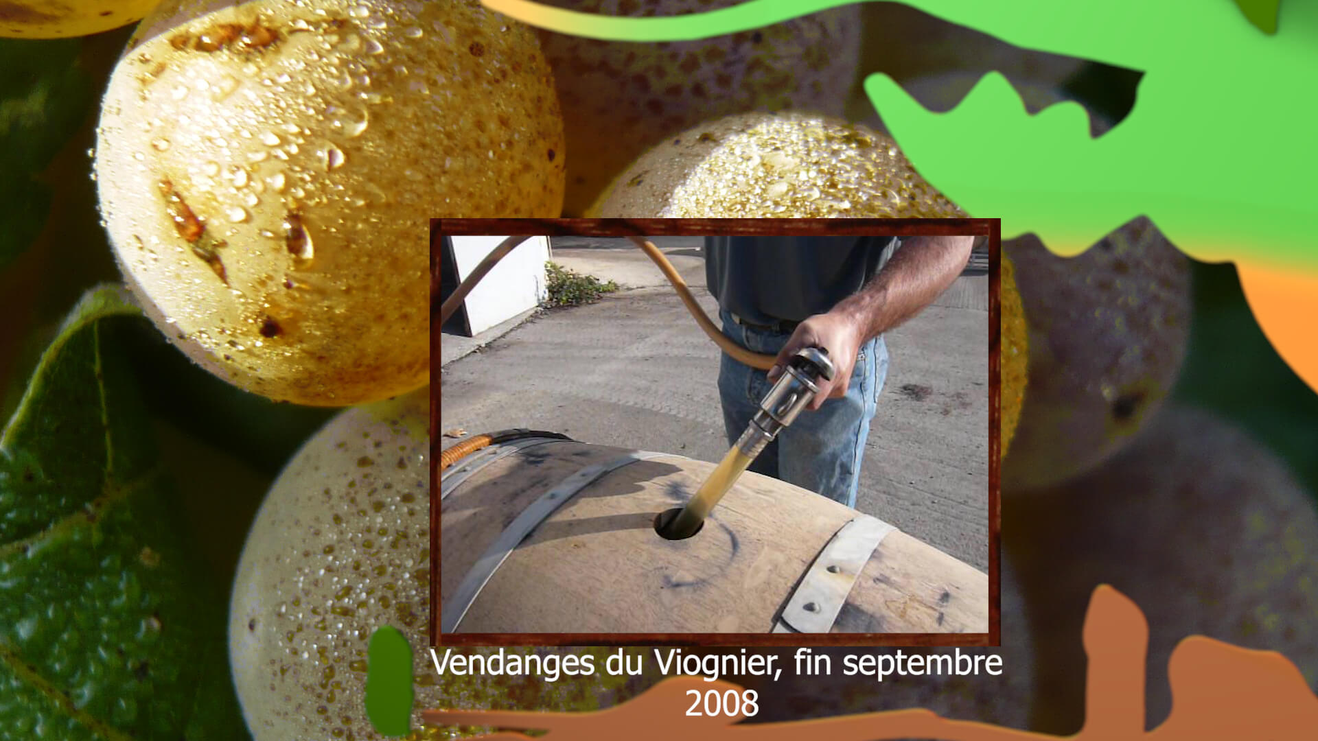 Cuvée spéciales